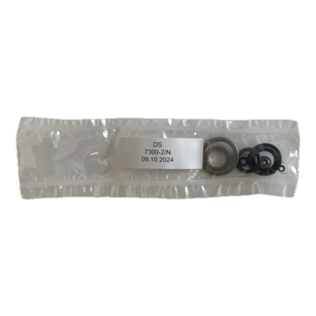 HAWE Seal Kit DS 7300-2/N