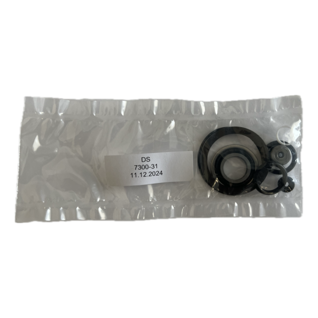HAWE Seal Kit DS 7300-31