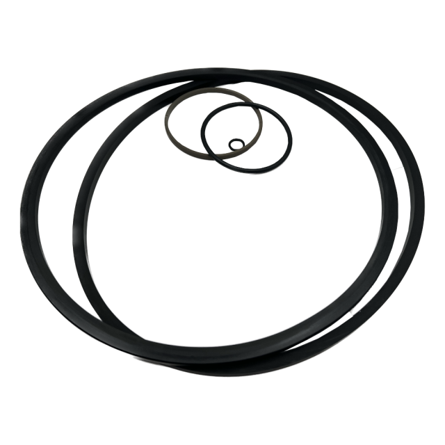 HAWE Pre-fill Valve F 160-76 Seal Kit