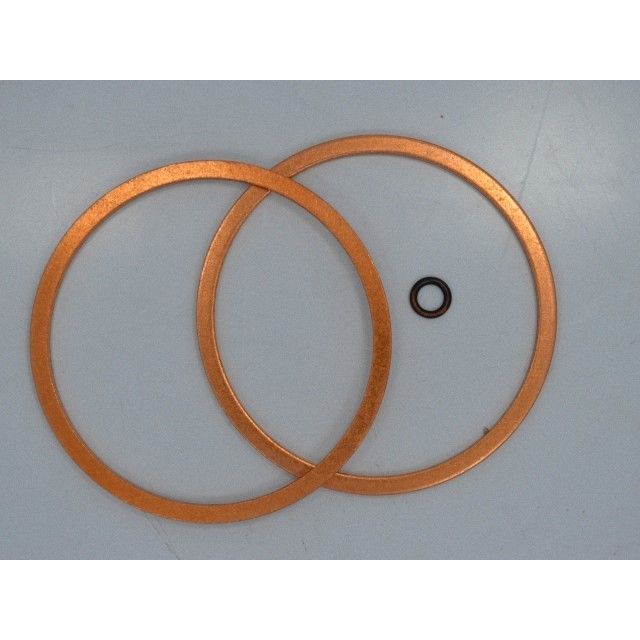 HAWE Pre-fill Valve F 200-100 Seal Kit